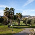 Castellón, Torneo Golf Carmona 1952