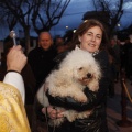 Castellón, Sant Antoni 2013