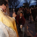 Castellón, Sant Antoni 2013