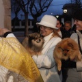 Castellón, Sant Antoni 2013