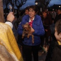 Castellón, Sant Antoni 2013