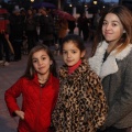 Castellón, Sant Antoni 2013