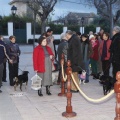 Castellón, Sant Antoni 2013
