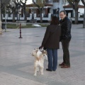 Castellón, Sant Antoni 2013