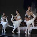 Gaiata 14