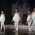 Gaiata 14