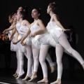 Gaiata 14