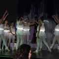 Gaiata 14