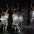 Gaiata 14