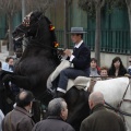 Castellón, San Antonio 2013