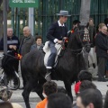 Castellón, San Antonio 2013