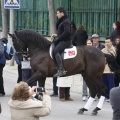 Castellón, San Antonio 2013