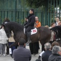 Castellón, San Antonio 2013