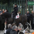 Castellón, San Antonio 2013