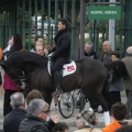 Castellón, San Antonio 2013
