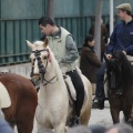 Castellón, San Antonio 2013