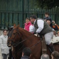 Castellón, San Antonio 2013