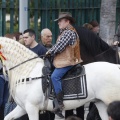Castellón, San Antonio 2013