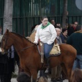 Castellón, San Antonio 2013