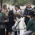 Castellón, San Antonio 2013