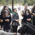 Castellón, San Antonio 2013