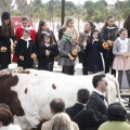 Castellón, San Antonio 2013