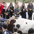 Castellón, San Antonio 2013