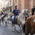 Castellón, San Antonio 2013