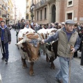 Castellón, San Antonio 2013