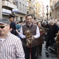 Castellón, San Antonio 2013