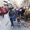 Castellón, San Antonio 2013