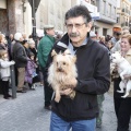 Castellón, San Antonio 2013