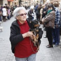Castellón, San Antonio 2013