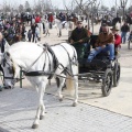 Castellón, San Antonio 2013