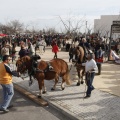 Castellón, San Antonio 2013
