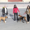 Castellón, San Antonio 2013