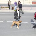 Castellón, San Antonio 2013