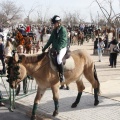 Castellón, San Antonio 2013