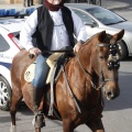 Castellón, San Antonio 2013
