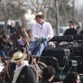 Castellón, San Antonio 2013