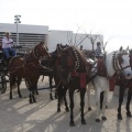 Castellón, San Antonio 2013