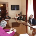 Ripollés