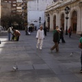 Ripollés