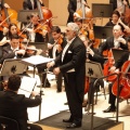 Castellón, Plácido Domingo 2013