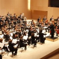 Castellón, Plácido Domingo 2013