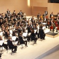 Castellón, Plácido Domingo 2013