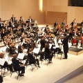 Castellón, Plácido Domingo 2013