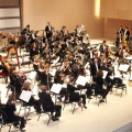 Castellón, Plácido Domingo 2013