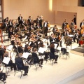 Castellón, Plácido Domingo 2013