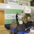 Castellón, Deporte 2013